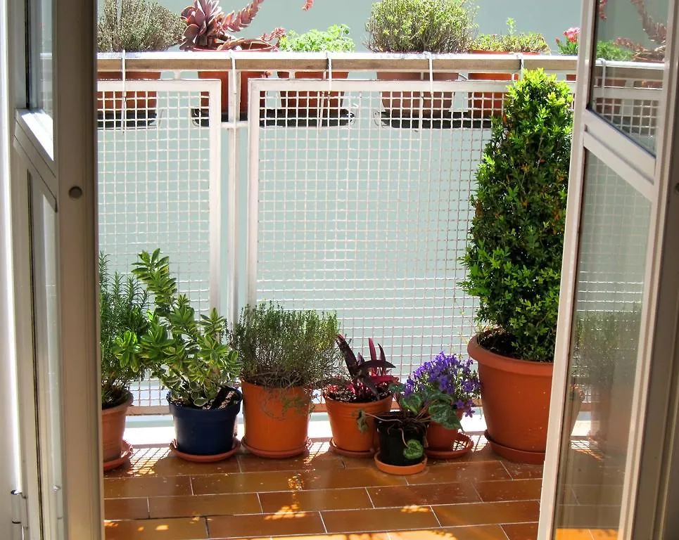 Casa Del Glicine Apartment Rome